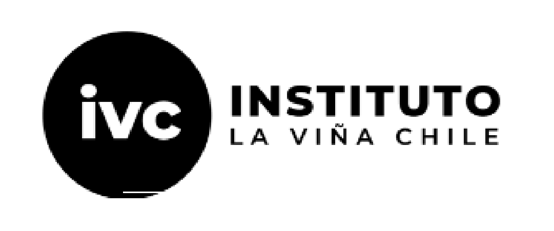 Instituto Viña Chile